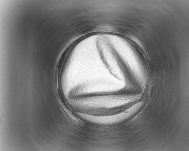 X0000070231123200606232150
