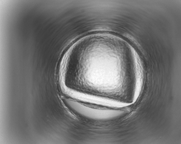 X0000070231129200606232150