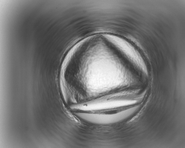 X0000070231137200606232150
