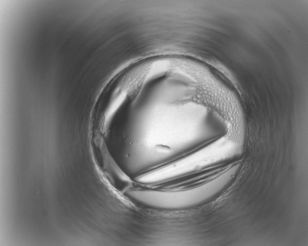 X0000070231142200606232150