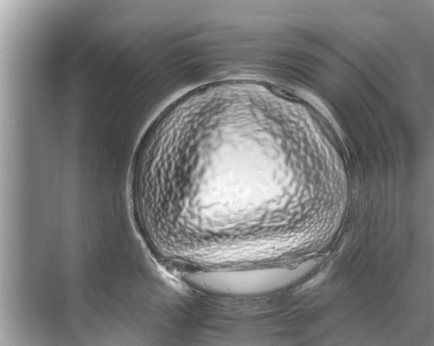 X0000070231149200606232150