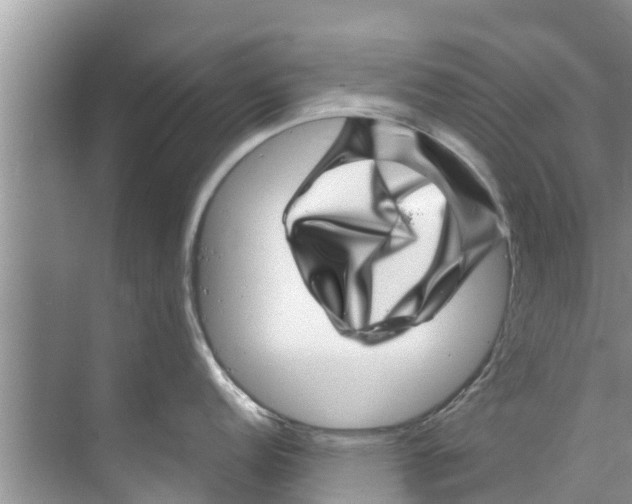 X0000070231152200606232150