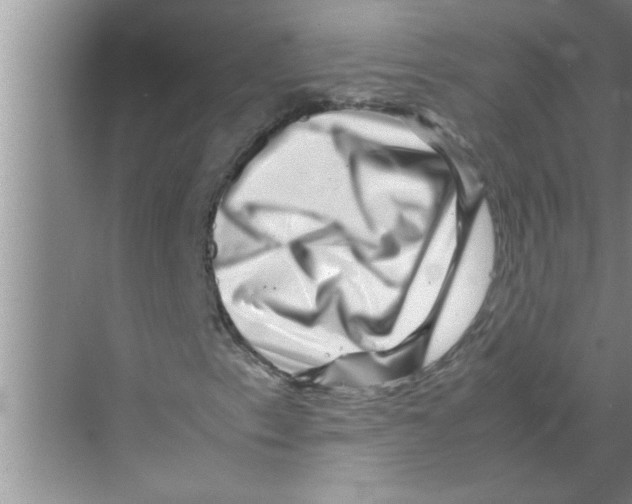 X0000070231153200606232150
