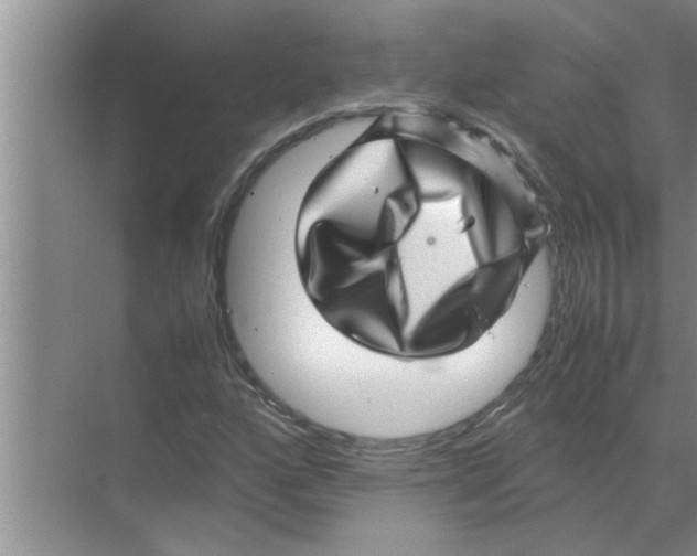 X0000070231160200606232149