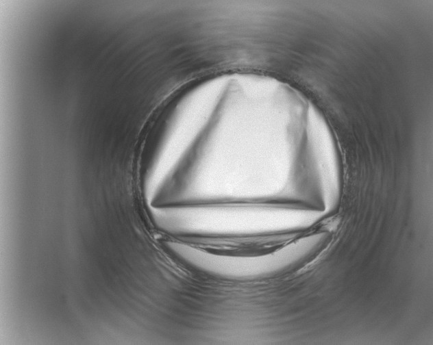 X0000070231170200606232149