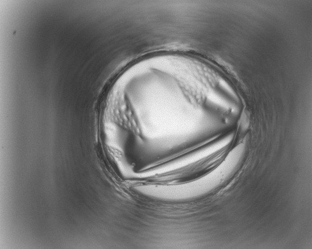X0000070231171200606232149