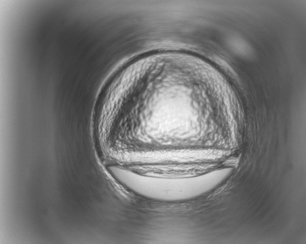 X0000070231183200606232149