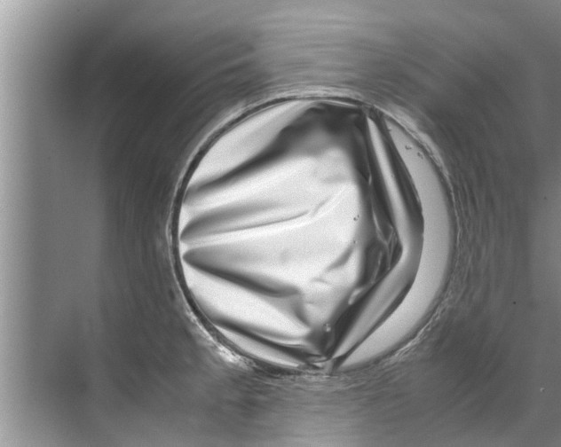 X0000070231189200606232149