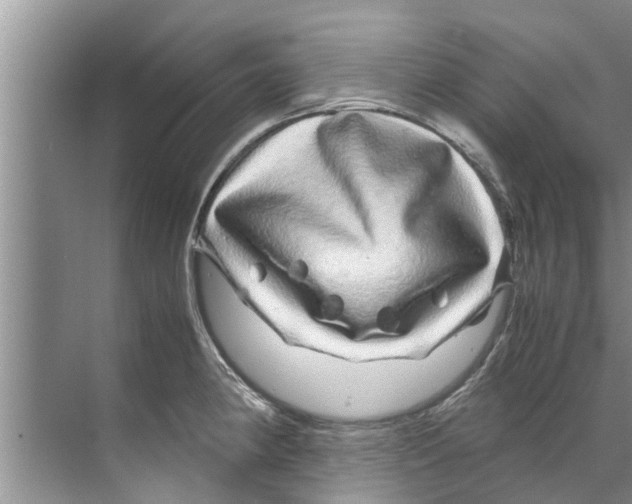 X0000070231190200606232149