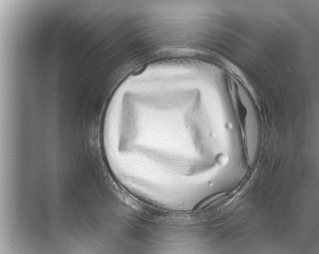 X0000070231194200606232149