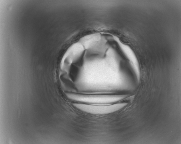 X0000070231205200606232148