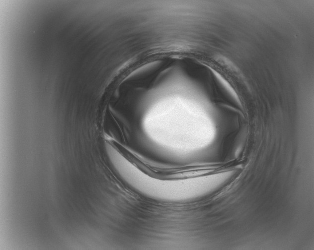 X0000070231210200606232148