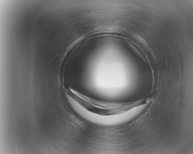 X0000070231218200606232148