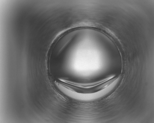 X0000070231222200606232148