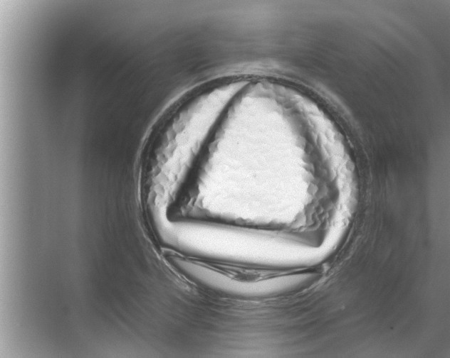 X0000070231224200606232148