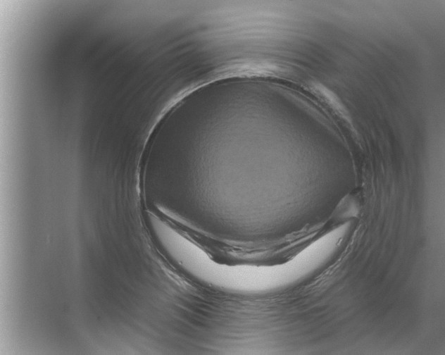 X0000070231226200606232148