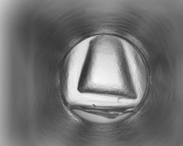 X0000070231241200606232149
