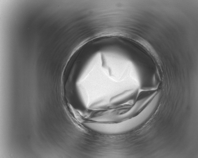 X0000070231242200606232149