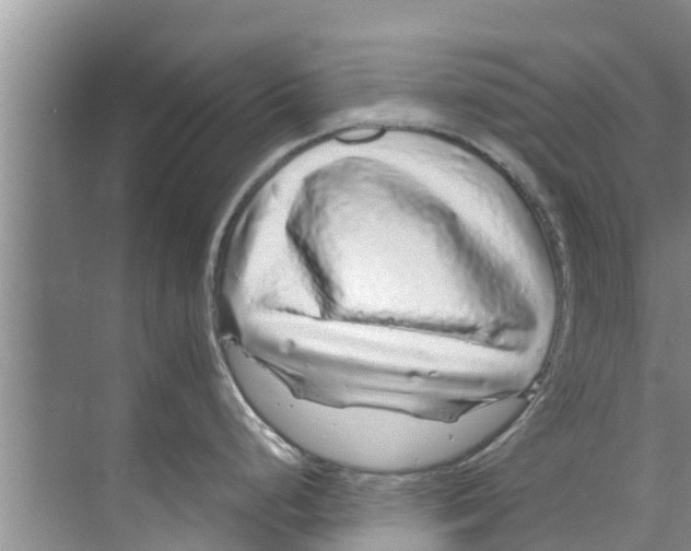X0000070231248200606232149