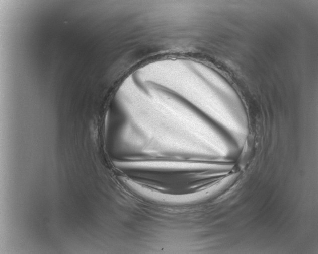 X0000070231257200606232148