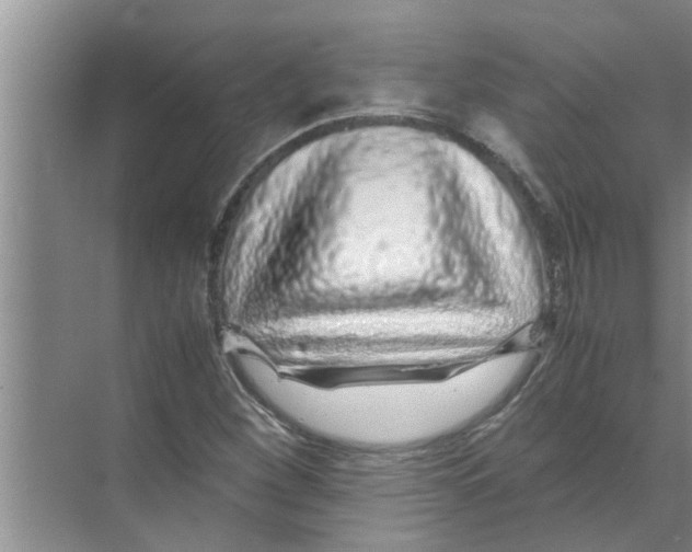 X0000070231260200606232148