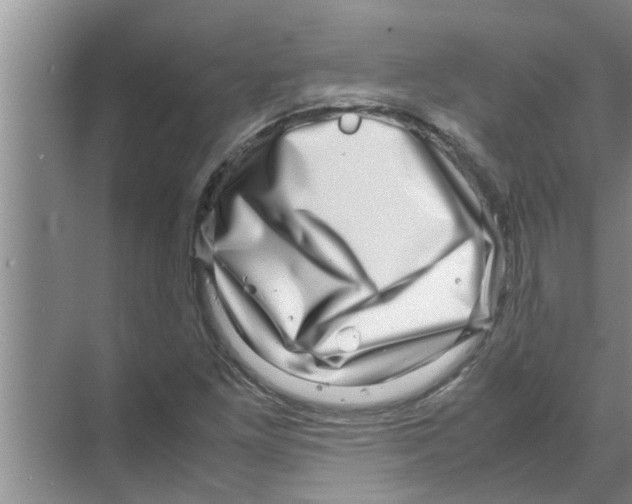 X0000070231261200606232148