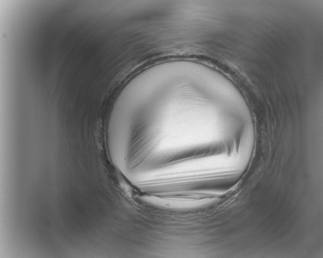 X0000070231265200606232148