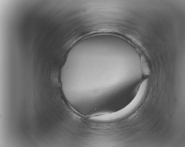 X0000070231273200606232148