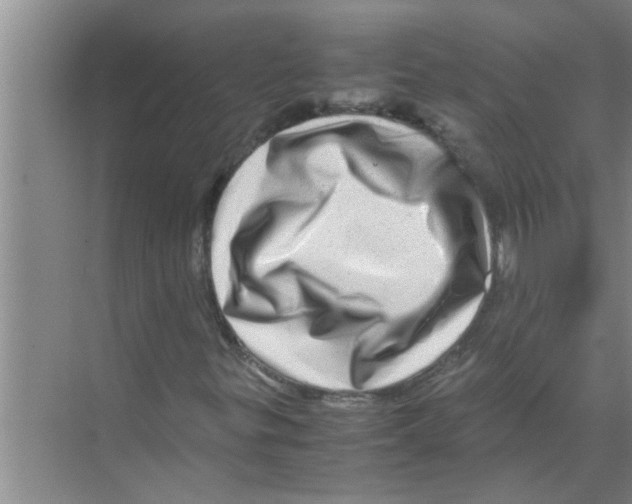 X0000070231299200606232146