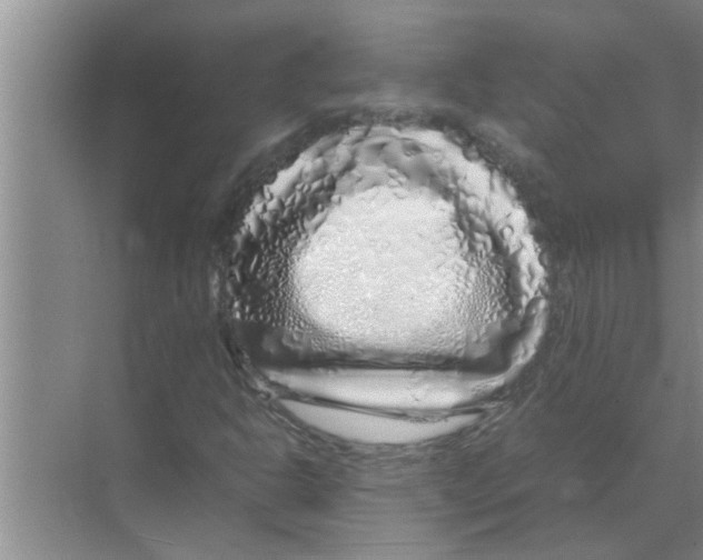 X0000070231302200606232146