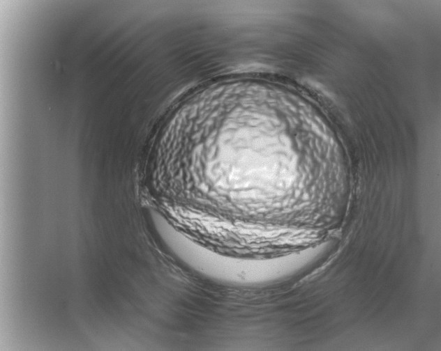 X0000070231313200606232147