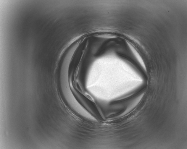 X0000070231317200606232147