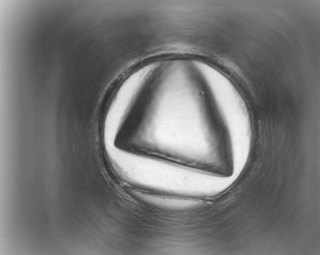 X0000070231318200606232147
