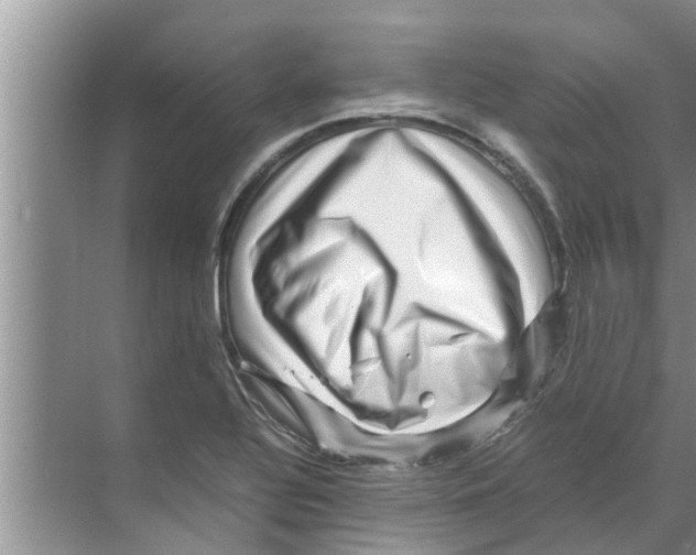 X0000070231320200606232147