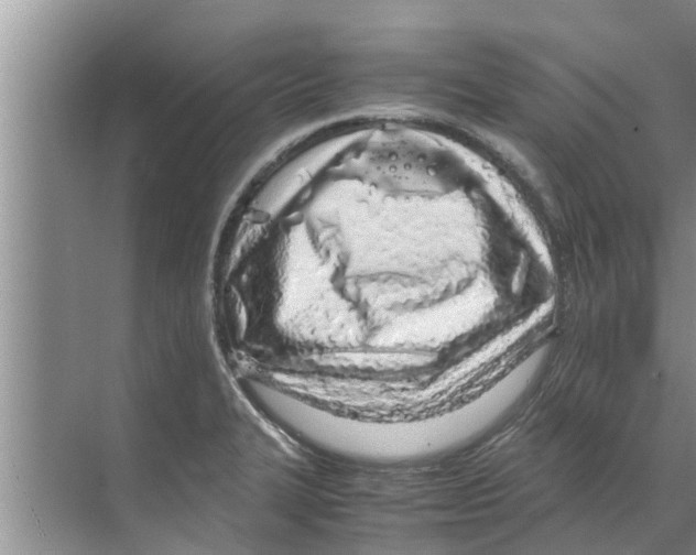 X0000070231327200606232147