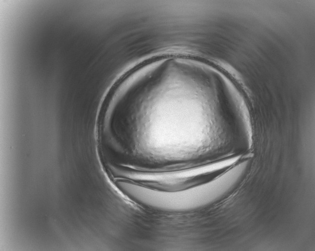 X0000070231335200606232147