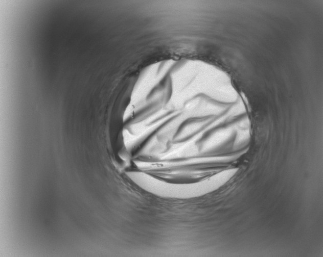X0000070231345200606232146