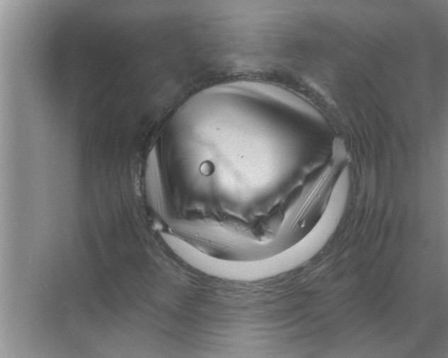 X0000070231348200606232146