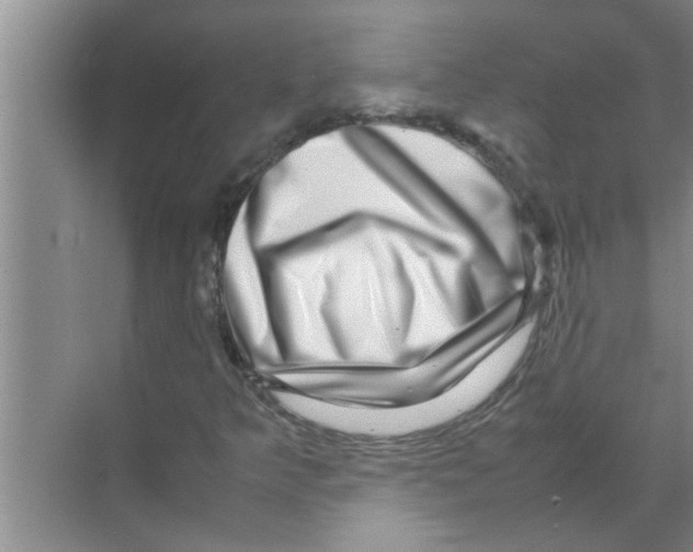 X0000070231349200606232146