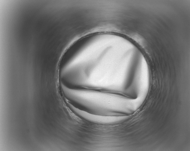 X0000070231366200606232146