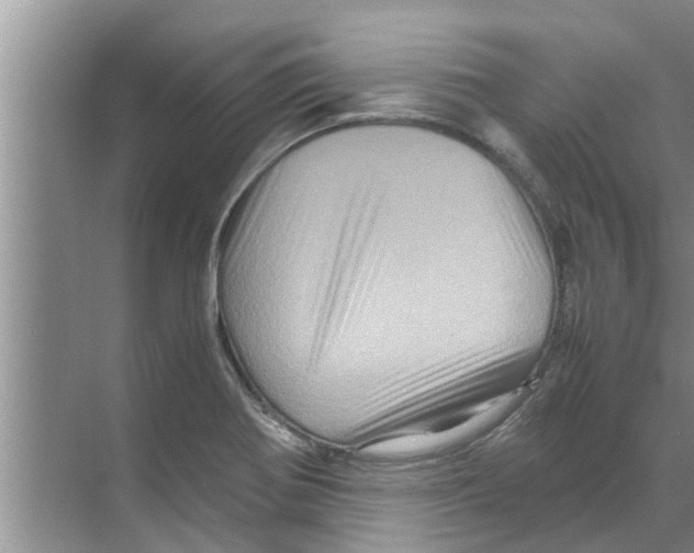 X0000070231370200606232146