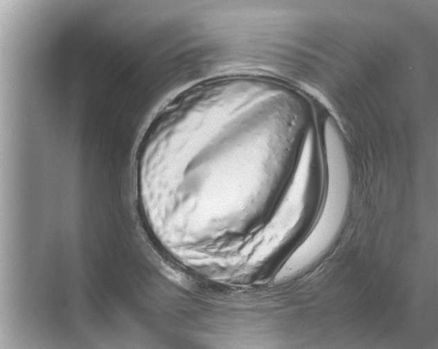 X0000070231371200606232146