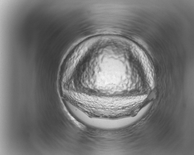 X0000070231379200606232146