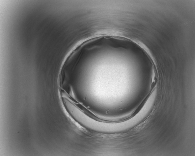 X0000070231389200606232146