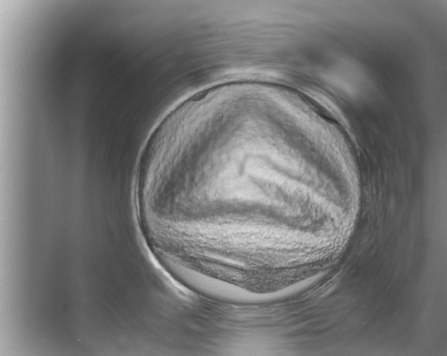 X0000070231391200606232146