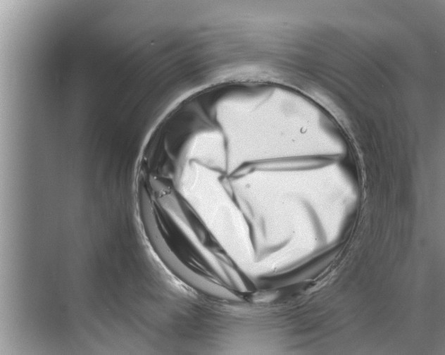 X0000070231392200606232146