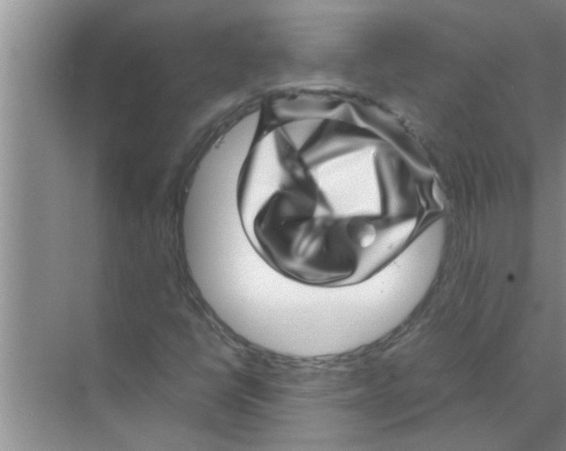 X0000070231398200606232145