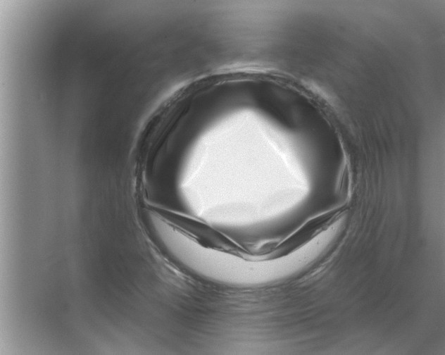 X0000070231406200606232145