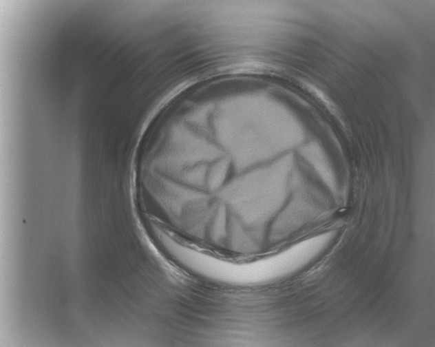 X0000070231418200606232145