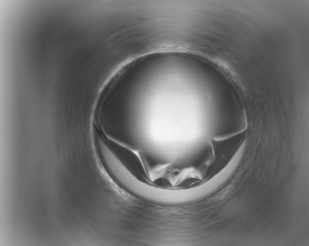X0000070231422200606232145